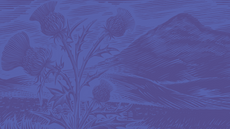 Purple thistle and mountain pattern