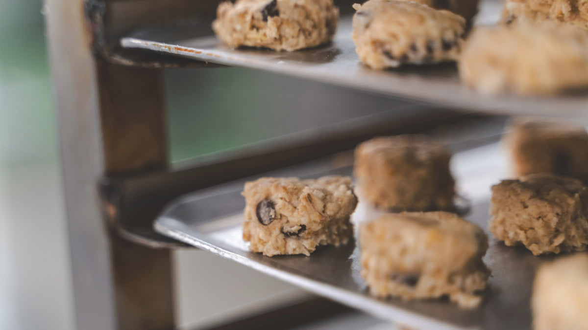 Close-up of chocolate chip oaties baking on metal trays inside an oven.