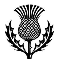 Black thistle design on a white background