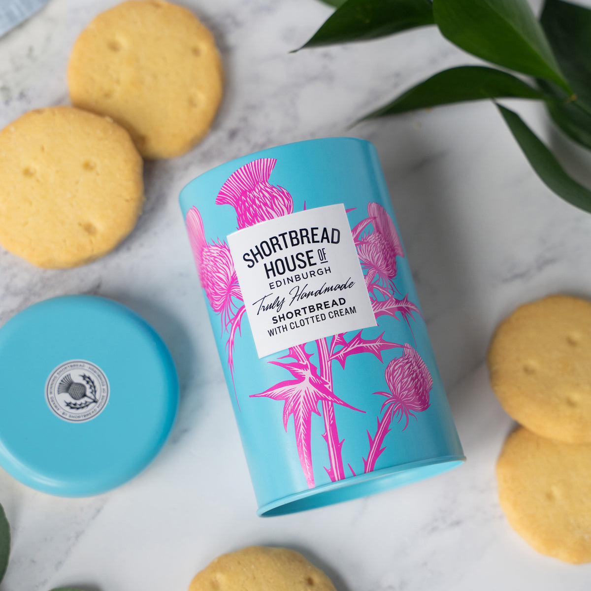 A blue tin of shortbread with a pink thistle design on a marble surface, surrounded by shortbread rounds.